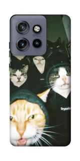 Чохол на Motorola Edge 50 Neo Сatsss фото 1 з 1