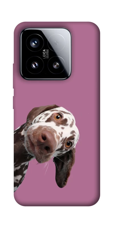 Чехол на Xiaomi 15 А что тут фото 1 из 1