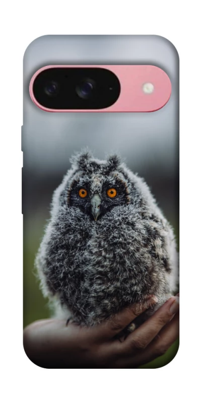 Чехол на Google Pixel 9 Совёнок фото 1 из 1