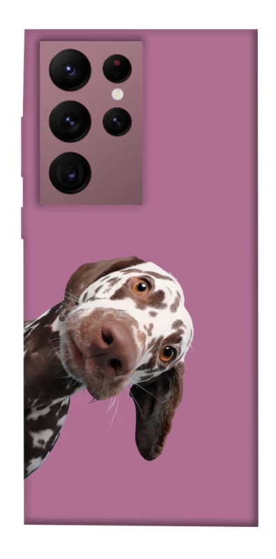 Чохол на Samsung Galaxy S22 Ultra А що тут фото 1 з 1