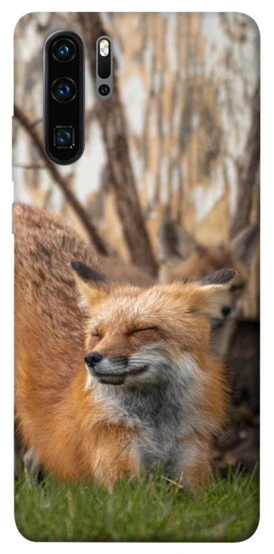 Чехол на Huawei P30 Pro Лиса фото 1 из 1