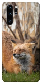 Чехол на Huawei P30 Pro Лиса фото 1 из 1