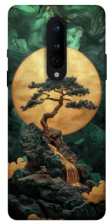 Чехол на OnePlus 8 banzai фото 1 из 1