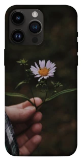 Чехол на Apple iPhone 14 Pro Max (6.7") Ромашка v4 фото 1 из 1