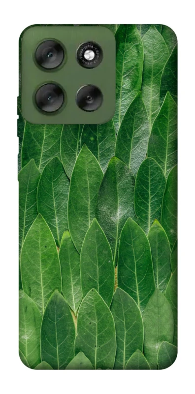 Чехол на Motorola Moto G56 5G Листья фото 1 из 1