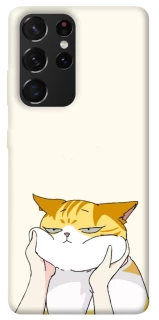 Чехол на Samsung Galaxy S21 Ultra Cat bun фото 1 из 1