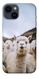 Чехол на Apple iPhone 14 (6.1") Лама фото 1 из 1