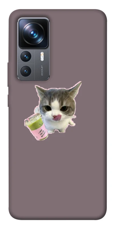 Чохол на Xiaomi 12T / 12T Pro cat matcha фото 1 з 1