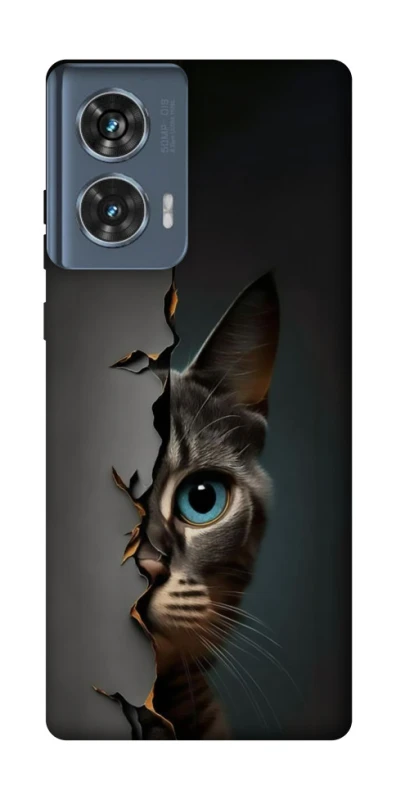 Чохол на Motorola Edge 50 Кіт-підглядач v2 фото 1 з 1