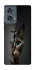 Чохол на Motorola Edge 50 Кіт-підглядач v2 фото 1 з 1