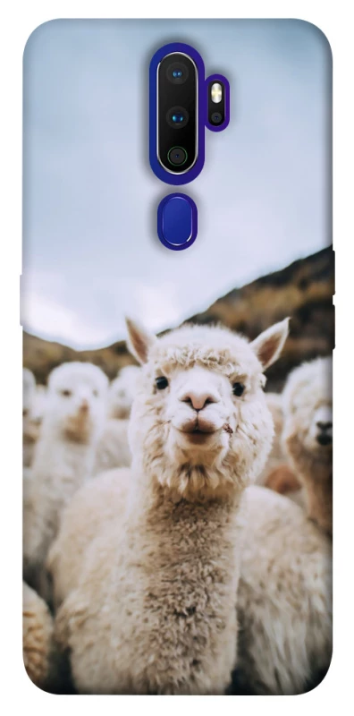 Чехол на Oppo A5 (2020) / Oppo A9 (2020) Лама фото 1 из 1