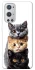 Чохол на OnePlus 9 Pro Гарні котики фото 1 з 1