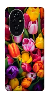 Чохол на Honor 200 Flowers v30 фото 1 з 1