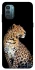 Чехол на Nokia G21 Leopard v2 фото 1 из 1