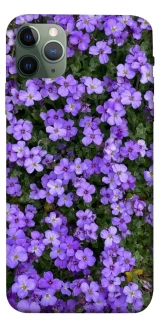 Чохол на Apple iPhone 11 Pro Max (6.5") Flowers v17 фото 1 з 1