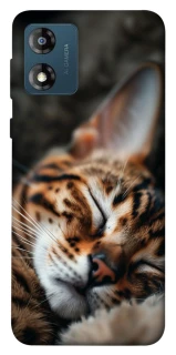 Чехол на Motorola Moto E13 Cat paws фото 1 из 1