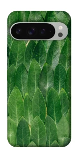 Чехол на Google Pixel 9 Pro XL Листья фото 1 из 1