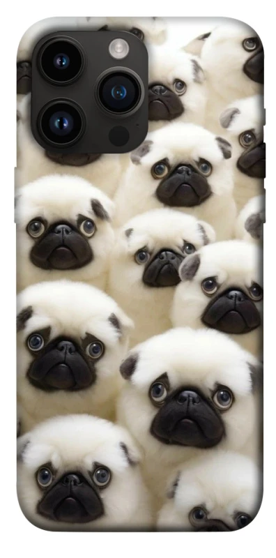 Чохол на Apple iPhone 14 Pro Max (6.7") Doggy Pug Love фото 1 з 1