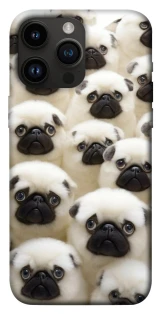 Чохол на Apple iPhone 14 Pro Max (6.7") Doggy Pug Love фото 1 з 1