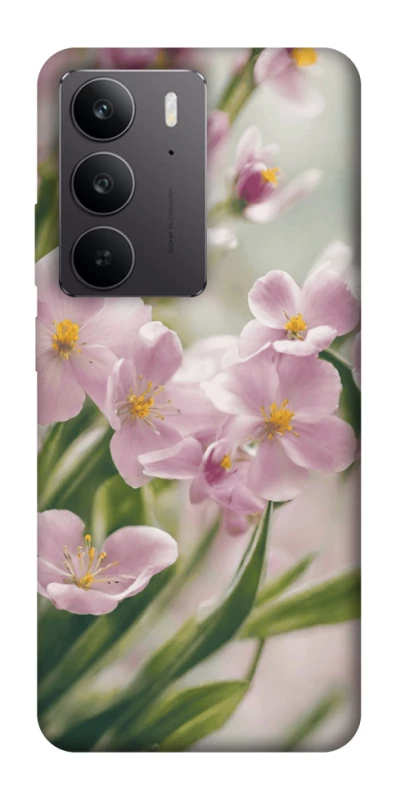 Чохол на Realme C75 Spring фото 1 з 1