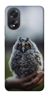 Чохол на Oppo A38 Совеня фото 1 з 1