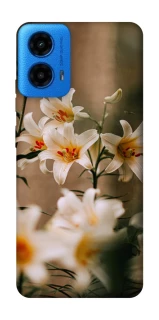 Чохол на Motorola Moto G45 Лілії фото 1 з 1