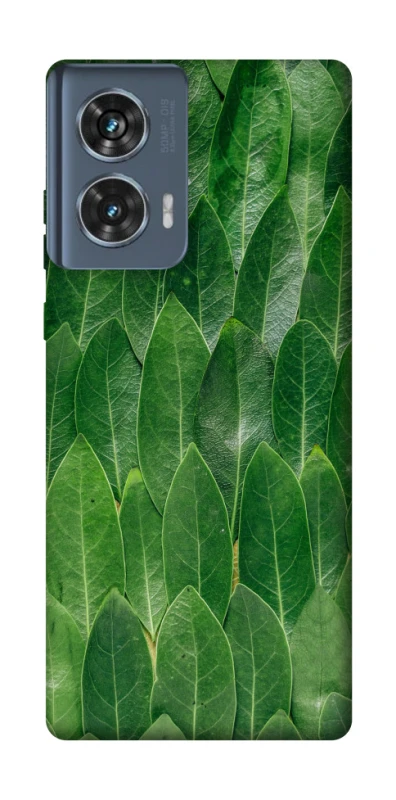Чохол на Motorola Edge 50 Листя фото 1 з 1