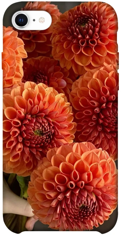 Чохол на Apple iPhone SE (2020) Flower1 фото 1 з 1