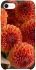 Чохол на Apple iPhone SE (2020) Flower1 фото 1 з 1