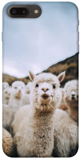 Чохол на Apple iPhone 7 plus / 8 plus Лама фото 1 з 1