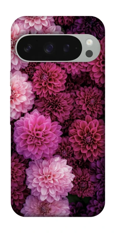 Чехол на Google Pixel 10 Pro XL Garden1 фото 1 из 1