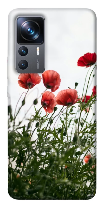 Чохол на Xiaomi 12T / 12T Pro Поле маків фото 1 з 1