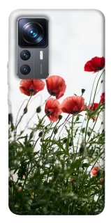 Чохол на Xiaomi 12T / 12T Pro Поле маків фото 1 з 1