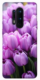 Чехол на OnePlus 8 Pro Фиолетовые тюльпаны фото 1 из 1