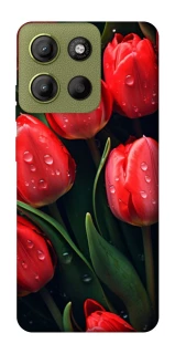 Чохол на Motorola Moto G15 4G Червоні тюльпани фото 1 Чохол на Motorola Moto G15 4G Червоні тюльпани фото 1 з 1