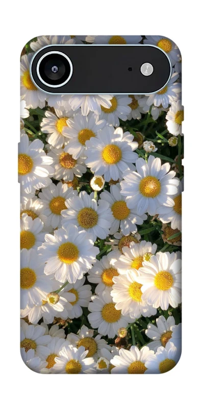 Чехол на Apple iPhone 17 Air (6.5") Поле ромашек фото 1 из 1
