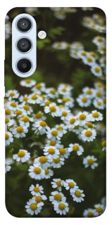 Чехол на Samsung Galaxy A54 5G Ромашки v13 фото 1 из 1