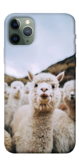 Чохол на Apple iPhone 11 Pro (5.8") Лама фото 1 з 1