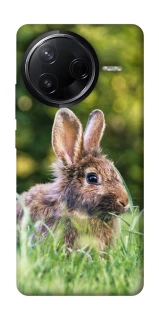 Чехол на Infinix Note 50 Pro Кролики фото 1 из 1