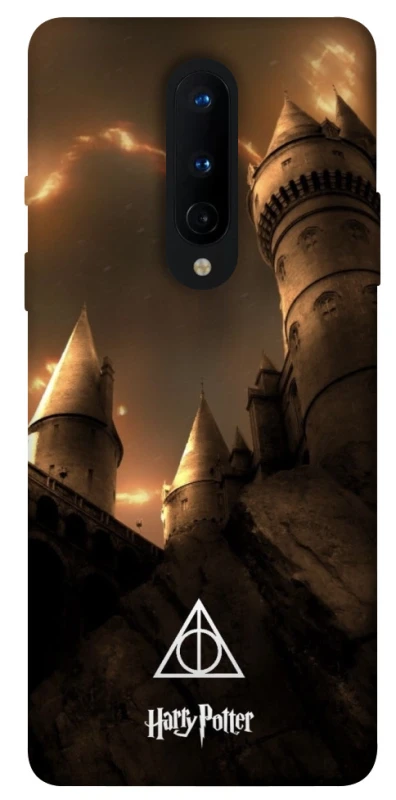 Чехол на OnePlus 8 Harry Potter ver.13 фото 1 из 1