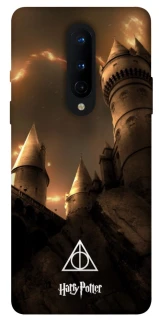 Чехол на OnePlus 8 Harry Potter ver.13 фото 1 из 1