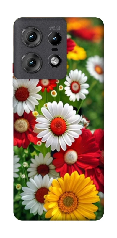 Чохол на Motorola Edge 50 Pro Flowers v11 фото 1 з 1