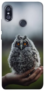 Чохол на Xiaomi Redmi Note 5 Pro / Note 5 (AI Dual Camera) Совеня фото 1 з 1