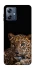 Чохол на Motorola Moto G54 Power Leopard v4 фото 1 з 1