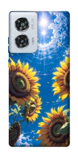 Чохол на Motorola Edge 50 Fusion Sunflowers фото 1 з 1
