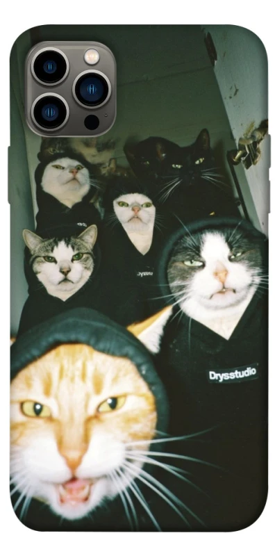 Чехол на Apple iPhone 12 Pro (6.1") Сatsss фото 1 из 1