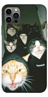 Чохол на Apple iPhone 12 Pro (6.1") Сatsss фото 1 з 1