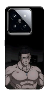 Чехол на Xiaomi 14 Pro Todo фото 1 из 1