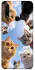 Чехол на Oppo A31 Cats фото 1 из 1