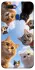 Чохол на Oppo A5s Cats фото 1 з 1